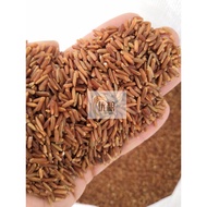 Premium Red Brown Rice Beras Perang Merah 红 糙米 900grams Low GI