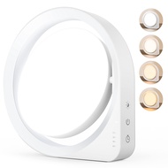 Light Therapy Lamp, UV-Free 11000Lux Therapy Light, Happy Lamp with 4 Brightness Levels & Color Temp