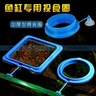 [90% Praise Rate] Aquarium Fish Feeding Ring Aquarium Fish Tank Fish Feeding Fish Food Fish Feed Fee
