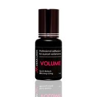 VERA LASH Glue (0.17fl.oz / 5ml) - Black, Voulme, Gold, Sensitive / 0.5~1 Sec Drying time/Retention 