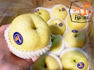 สาลี่ทอง (8ลูก) (CHN) ~ลดพิเศษ~ Premium Chinese Pears หอม หวาน อร่อย !