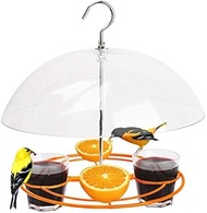 Solution4Patio Baltimore Oriole Feeder, Orange Halves Fruit & Grape Jelly, and Mealworm for Bluebird