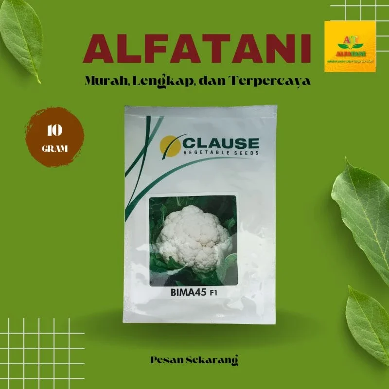 Benih Kembang Kol Bima 45 F1 10gram
