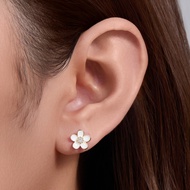 Newest custom 14K Gold Plated 925 Zircon Stone Round CZ Flower Enamel Stud earrings for woman
