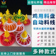 Chicken Feeder Automatic Feeder for Chicken Feeder Chicken House Duck Shed Feeder