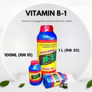 Vitamin B-1 Penggalak Akar