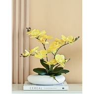 Vase Set Living Room Dining Table Hotel Plate Phalaenopsisjbp57.my20260301192821