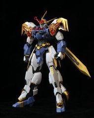 HG Amplified IMGN 龍神丸