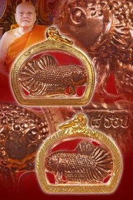 泰國佛牌-全泰第一招財鬥魚-龍婆暖2558年招財鬥魚