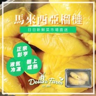 Deluxe Farm - 【馬來西亞】 [液氮冷凍處理] 彭亨貓山王D197 極品急凍榴槤 400g (正宗馬來西亞彭亨州勞勿縣直送)