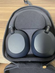 SONY 索尼降噪無線耳機