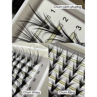 Cluster Eyelashes - Phoenix wing cluster eyelashes - Wispy cluster volume eyelashes