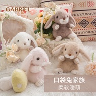 Gabriel Rabbit Plush Doll, Soft Stuffed Bunny Toy, Cute Rabbit for Girls, Perfect Birthday/Christmas