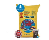 Pelet pakan benih ikan lele PF800 500gram protein tinggi AA03208