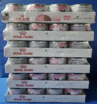 Royal Canin 幼貓罐頭1pack12罐
