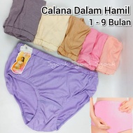 KATUN CD Panties for Pregnant Women 1 2 3 4 5 6 7 8 9 Months BIG Size JumboDT Cotton Elastic Wrinkle