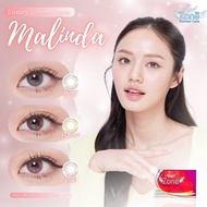 คอนแทคเลนส์ Angelzone Malinda คอนแทคเลนส์แบรนด์ Angelzone Contactlens คอนแทคเลนส์ angelzone