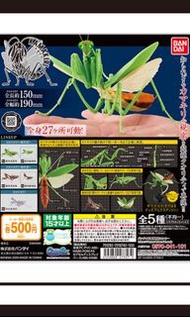 Bandai 昆蟲大圖鑑 昆蟲新聞 第三號 螳螂 全5款🧿詳細請睇描述🧿全新現貨 ❎不議價❎🏵️實體店同步發售中🏵️