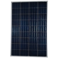 Solar Panel Surya S Series Cell 150WP 12V Poly Sseries 150 wp