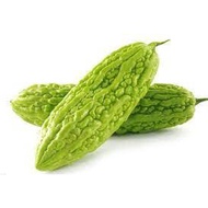 4 Bitter Gourd Seeds Bitter Melon Seeds Vegetable Seeds Plant Seeds Garden Seeds (fr SG)