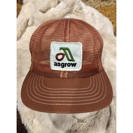 Cap Vintage Original Premium (USA SWINGSTER) ASGROW