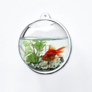 Aquarium dinding, Aquarium Bulat, Aquarium unik, Aquarium minimalis,