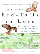 Red-Tails in Love ─ A Wildlife Drama in Central Park
