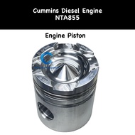 Engine Piston NTA855 Cummins Diesel Engine - 3076811