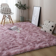 160x200CM Fluffy Karpet Floor Carpet Plush Rug Soft Velvet Mat Home Decor 40x60CM 80x120CM 120x160CM