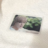 Seventeen dino小卡