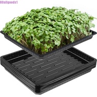 USNOW1 10Pcs Plant Growing Trays, Plastic No Holes Seed Propagation Tray, Sprout Hydroponic Systems Durable Reusable 550x285x60mm Bonsai Flowerpot Tray Seedlings
