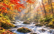 Aomori Small Group Day Tour | Oirase Stream, Hakkoda Mountains, Takayama Inari Shrine, Tanesashi Coa