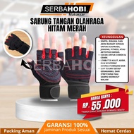 Quality Gym Gloves All Sizes Gym Gloves Gym Hand Gloves Sports Gloves