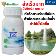 Micro-Blaze F.O.G  250 มล. หัวเชื้อจุลินทรีย์ บาซิลลัส ซับทีลิส เข้มข้น กำจัดสาหร่ายสีเขียวแกมน้ำเงิ