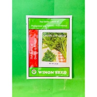 Benih seledri CELERY CUT GREEN tahan hama dan penyakit isi 25gr dari WINON SEED