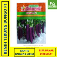 UNGU BUNGO Purple Eggplant Seeds, 5 grams - Bintang Asia