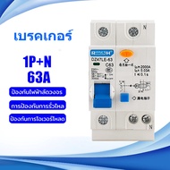 RCBO 1PN 63A 220V Main Circuit Breaker