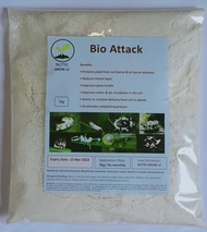 Mikrob Tanaman Bio Attack Kawalan Perosak Biologi. Menghapuskan serangga perosak secara biologi tanp