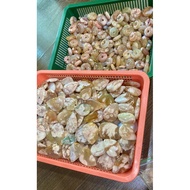 Loket Sakura agate sakura agate pandent(樱花玛瑙吊坠)