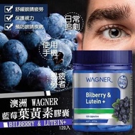 現貨❗️ 澳洲 Wagner 藍莓素護眼膠囊 Bilberry & Lutein + 120粒
