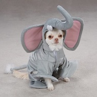 Elephant Costume for Pets