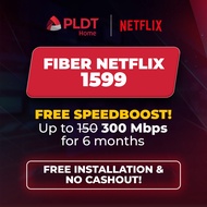 PLDT Fiber Netflix Plan 1599 Application