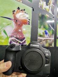 Canon R6 II R6 MARK II R6M2  行貨過保養
