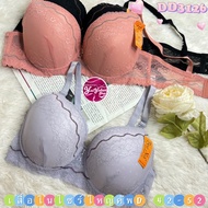 Large Size Bra Cup Shape D 42-52 Bee na DD3126