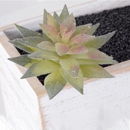 Artificial Succulent Plant Mini Soft
