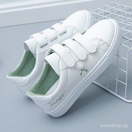 White Shoes Pansy Spring Versatile White Shoe Skateboard Shoes Trendy Women's Shoes2024New Summer Student Velcro