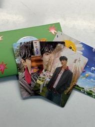 Seventeen mini 11電子磚