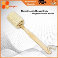 EvoGadgets Exfoliating Loofah / Luffa Shower Brush / Body Scrub / Scrub Body Back / Scrub a bath Exf