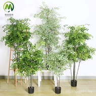 Potted Elm Tree Fake Acacia Tree Bonsai Simulation Green Plant Light Luxury Plant Ornaments Fake Gre