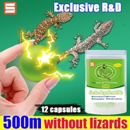 500m without lizards！Vgd Lizard repellent Gecko repellent 12 capsules Exclusive R&amp;D The formula upgrade effect is stronger.Lizard killer Lizard trap Anti lizard